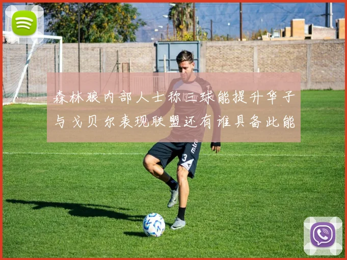 森林狼内部人士称三球能提升华子与戈贝尔表现联盟还有谁具备此能力