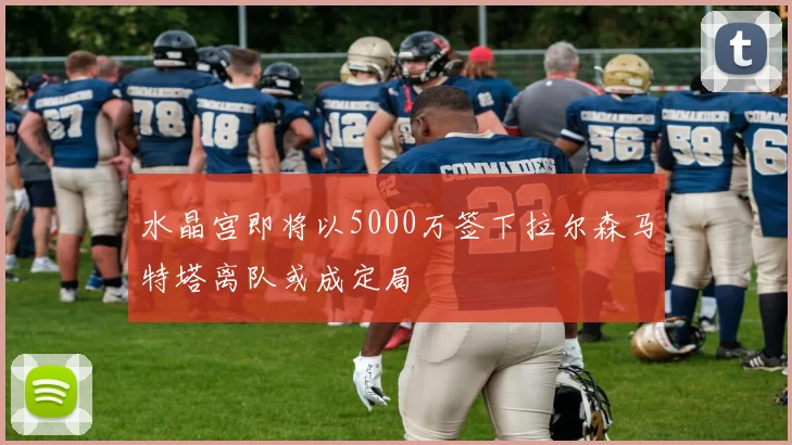 水晶宫即将以5000万签下拉尔森马特塔离队或成定局